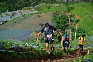 BIB: 
                            <button type="button" onclick="openModal(13381803)" class="btn btn-primary btn-sm float-right btn-popup" data-toggle="modal" data-target=".modal-high-quality">
                        <i class="fas fa-shopping-cart"></i> Add to Cart
                    </button>
                                            <button type="button" onclick="isThisMe(13381803, true)" class="btn btn-success btn-sm float-right btn-popup btn-isme hidden" data-toggle="tooltip" data-placement="bottom" title="นี่คือรูปของคุณใช่ไหม คลิกที่นี่เพื่อเอาเข้าอัลบั้ม">
                        <i class="fas fa-plus"></i> Add to album
                    </button>
                    <button type="button" onclick="isThisMe(13381803, false)" class="btn btn-warning btn-sm float-right btn-popup btn-isnotme hidden">
                        <i class="fas fa-ban"></i> Remove from album
                    </button>